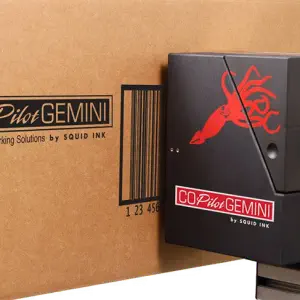 CoPilot Gemini